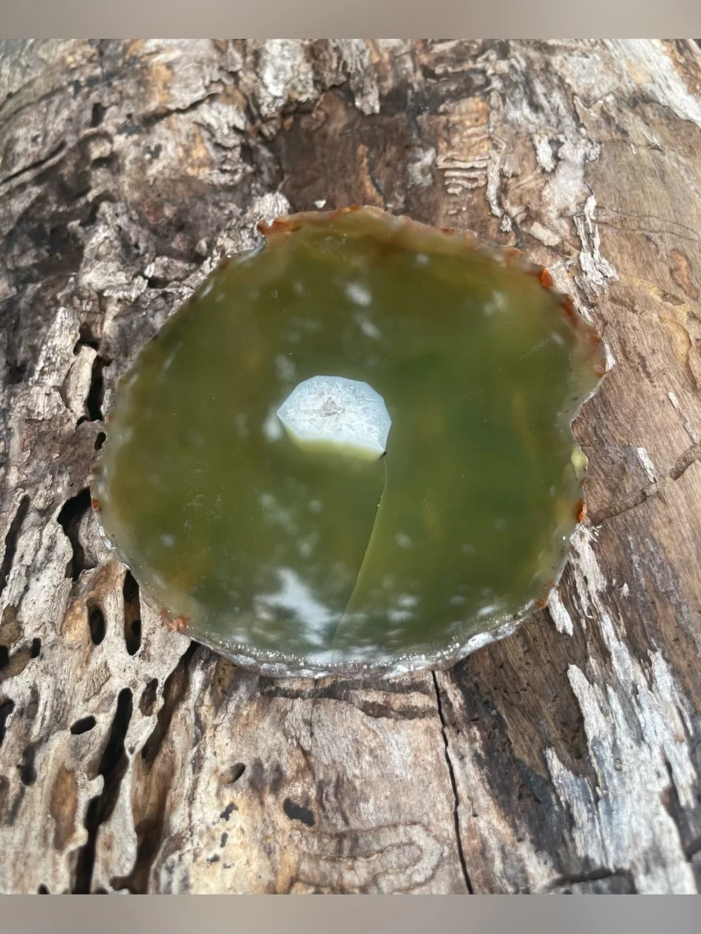 Vintage polished olive